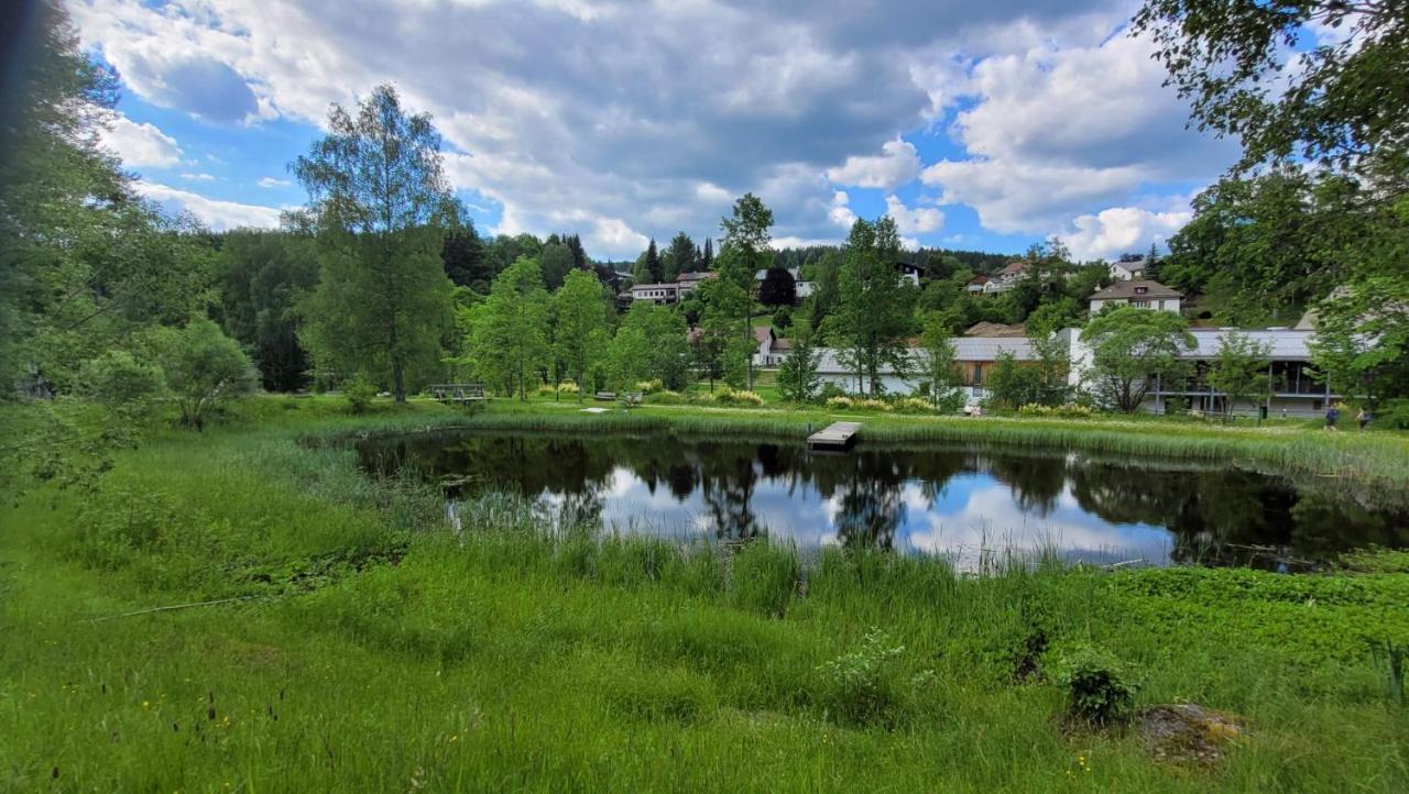 Apartment Grenzenblick Bayerisch Eisenstein