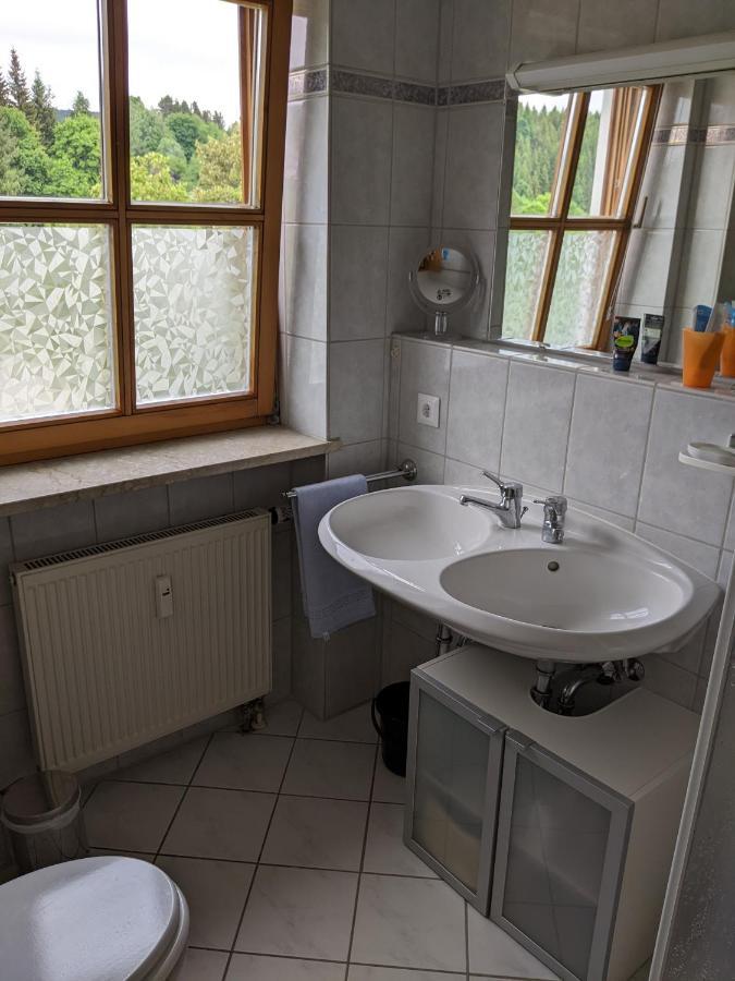 Grenzenblick * Bayerisch Eisenstein